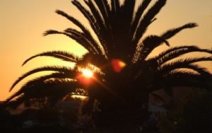 Palma de Mallorca 3