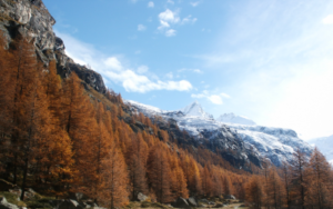 ITALY 1