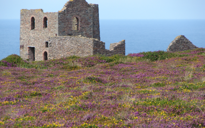 UK BACKINGHAM PALACE