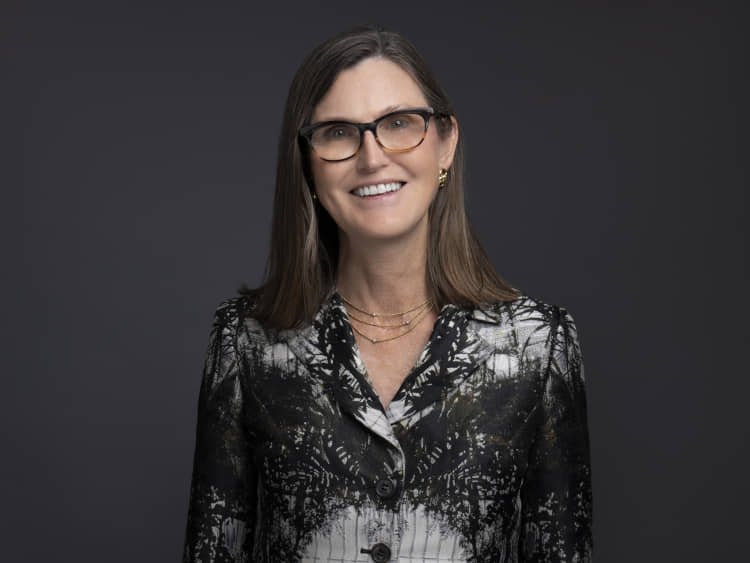 Wood Cathie ARK Invest ARK Investment Management LLC Rize ETF Ark Invest Europe