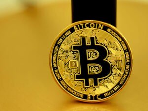 Bitget